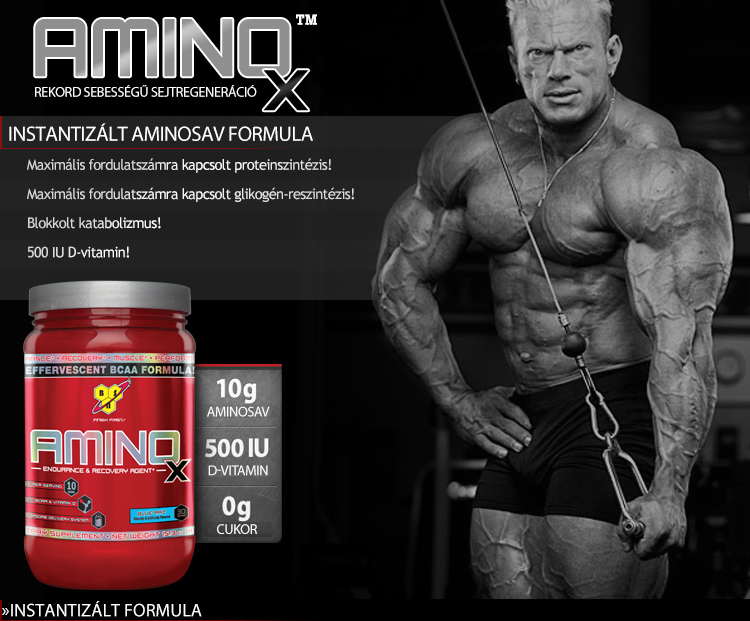 BSN Amino X 1010g